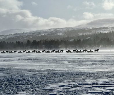 Fiera invernale in Norvegia 20-24 febbraio 2024